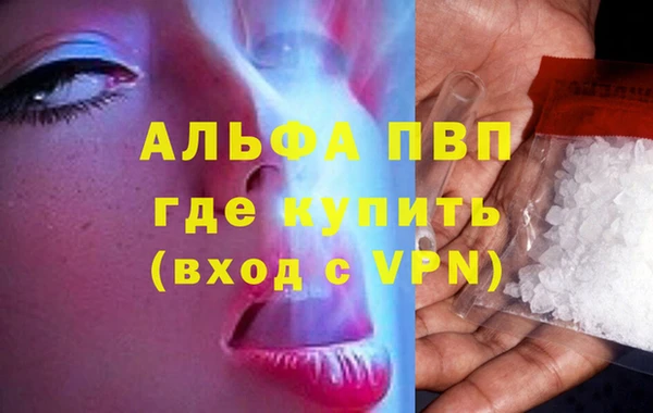 трава Сатка