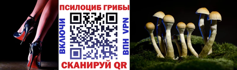 Псилоцибиновые грибы мухоморы  Купить где  Сретенск 