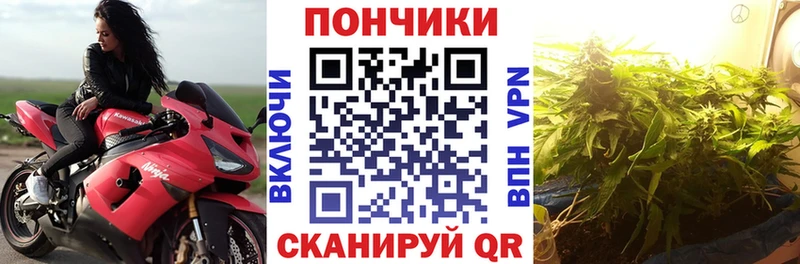 Канабис гибрид  Купить  Сретенск 